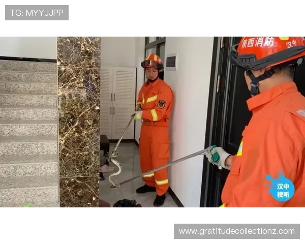 SA视讯登录入口安全保障措施，保障玩家个人信息和资金安全的详细介绍