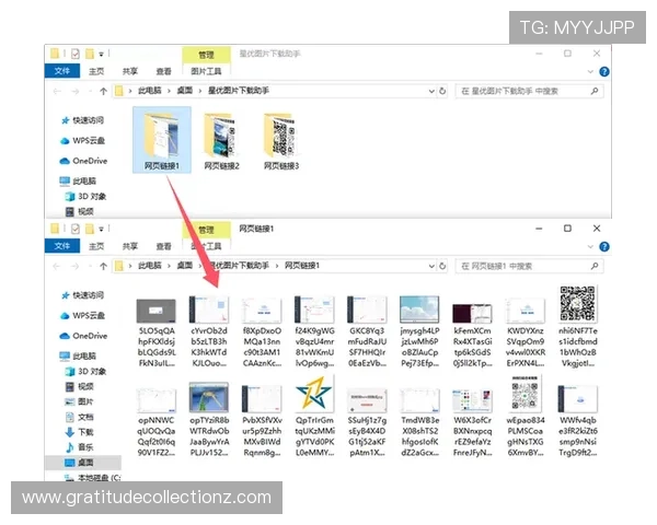 最新最全的PA下载教程，教你轻松管理和使用下载内容