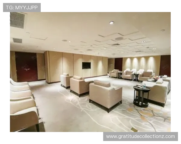 ag贵宾厅官网提供的贵宾休息区环境与设施全面评测