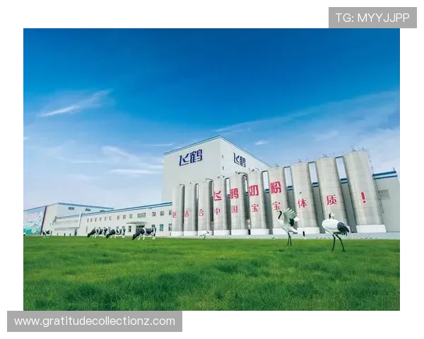 凯发集团旗下的公司：详细解析各子公司在行业中的核心竞争力