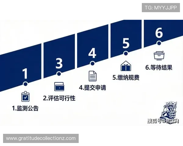 掌握百家乐技巧与打法策略实现长期盈利的实用建议